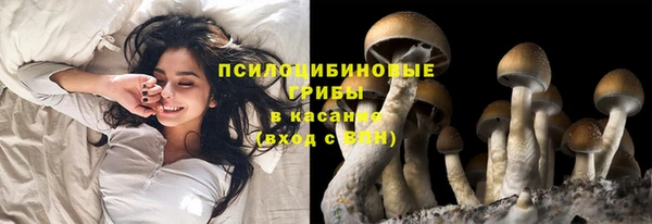 2c-b Алзамай