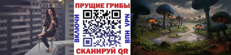 блэк спрут tor  даркнет сайт  Дыгулыбгей  Галлюциногенные грибы GOLDEN TEACHER 